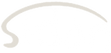 Icon Design
