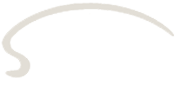 SIDAN Logo